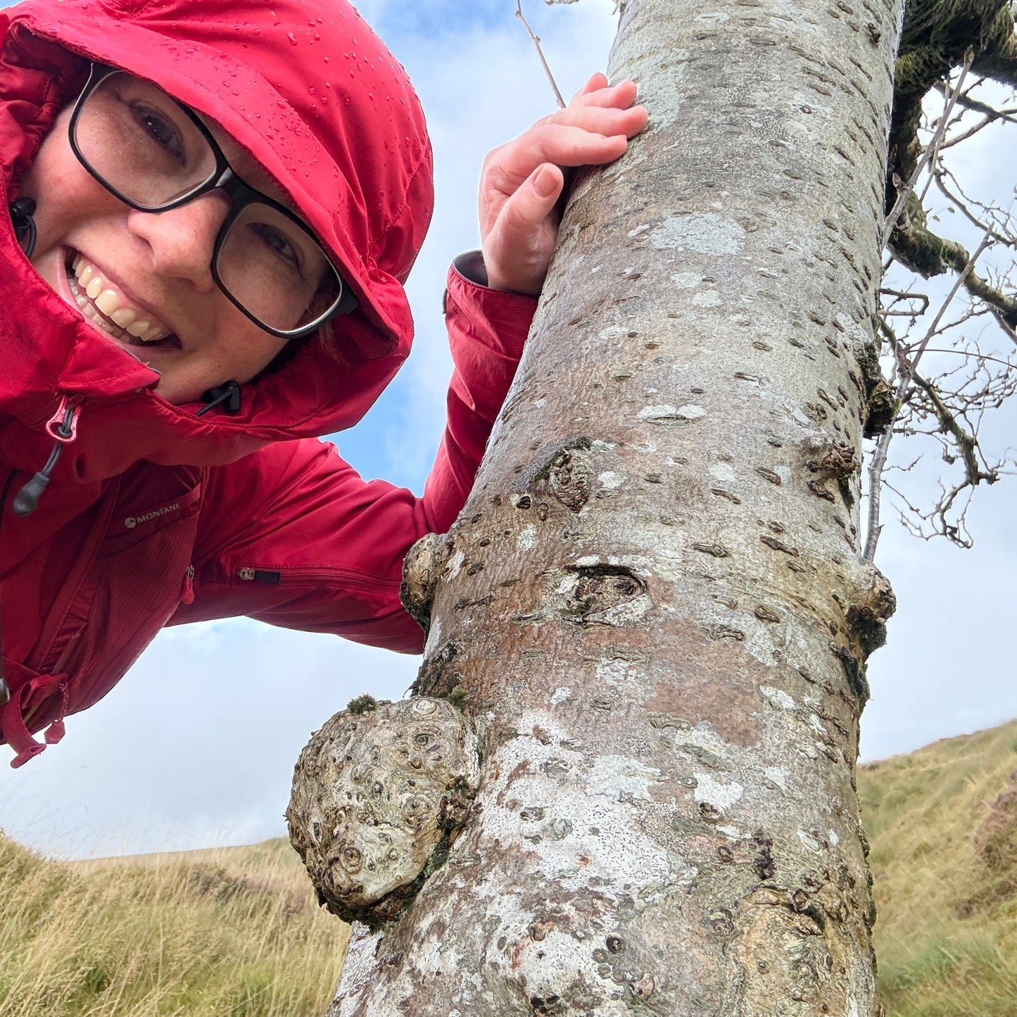 November: Repetition