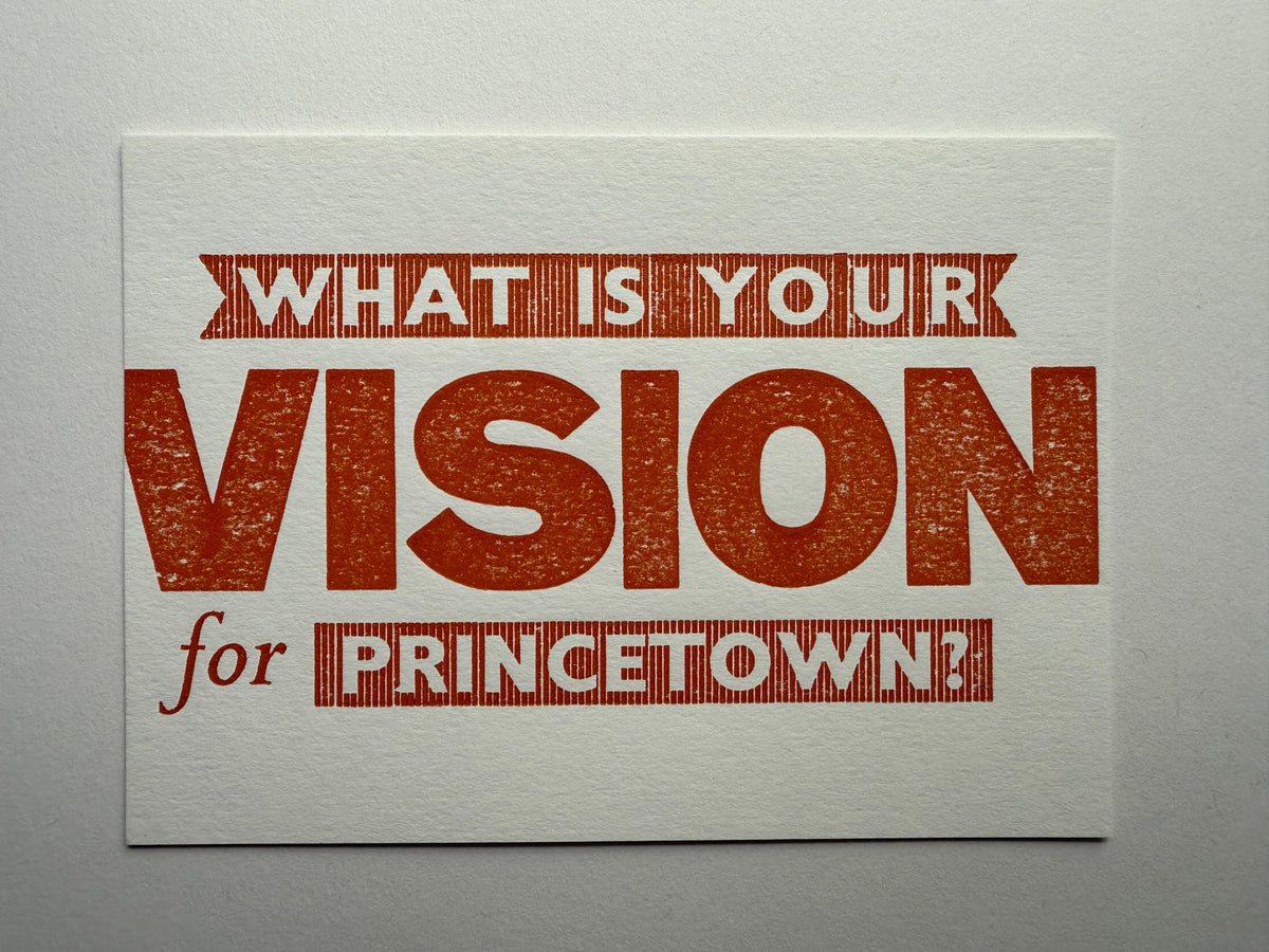 Princetown Vision
