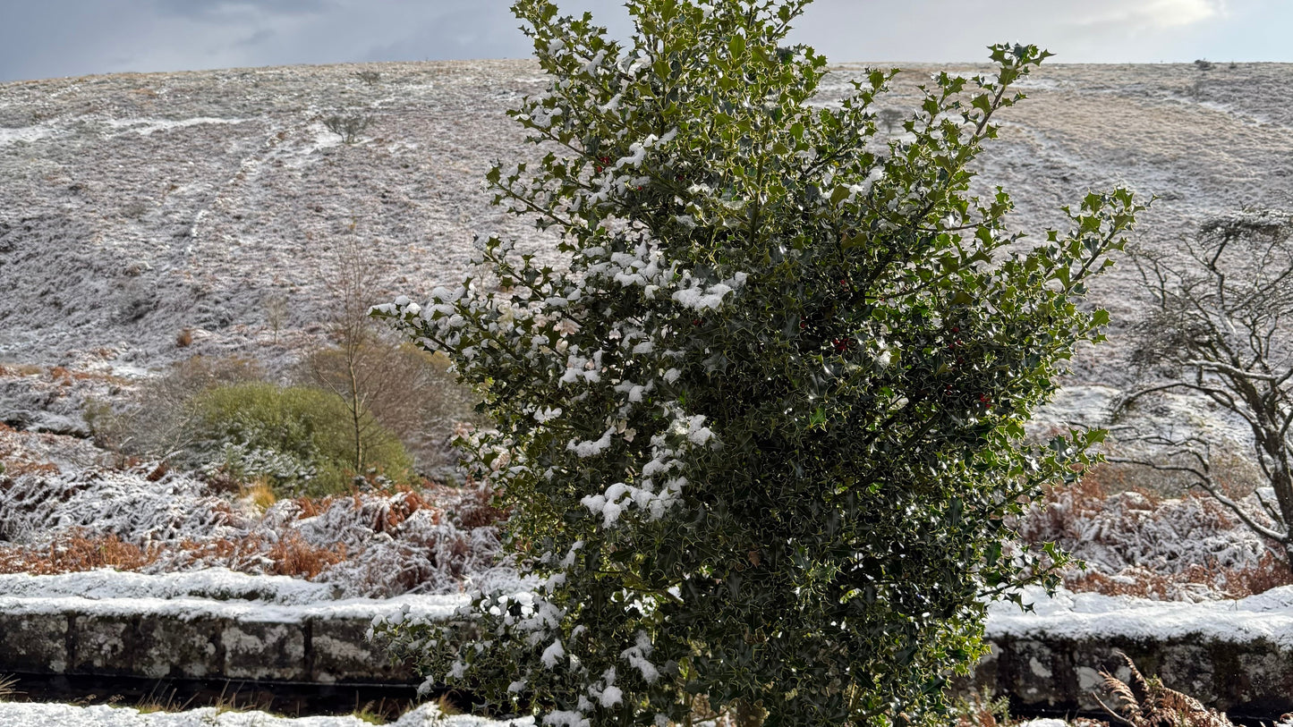 December: Not all harvests are ours to reap