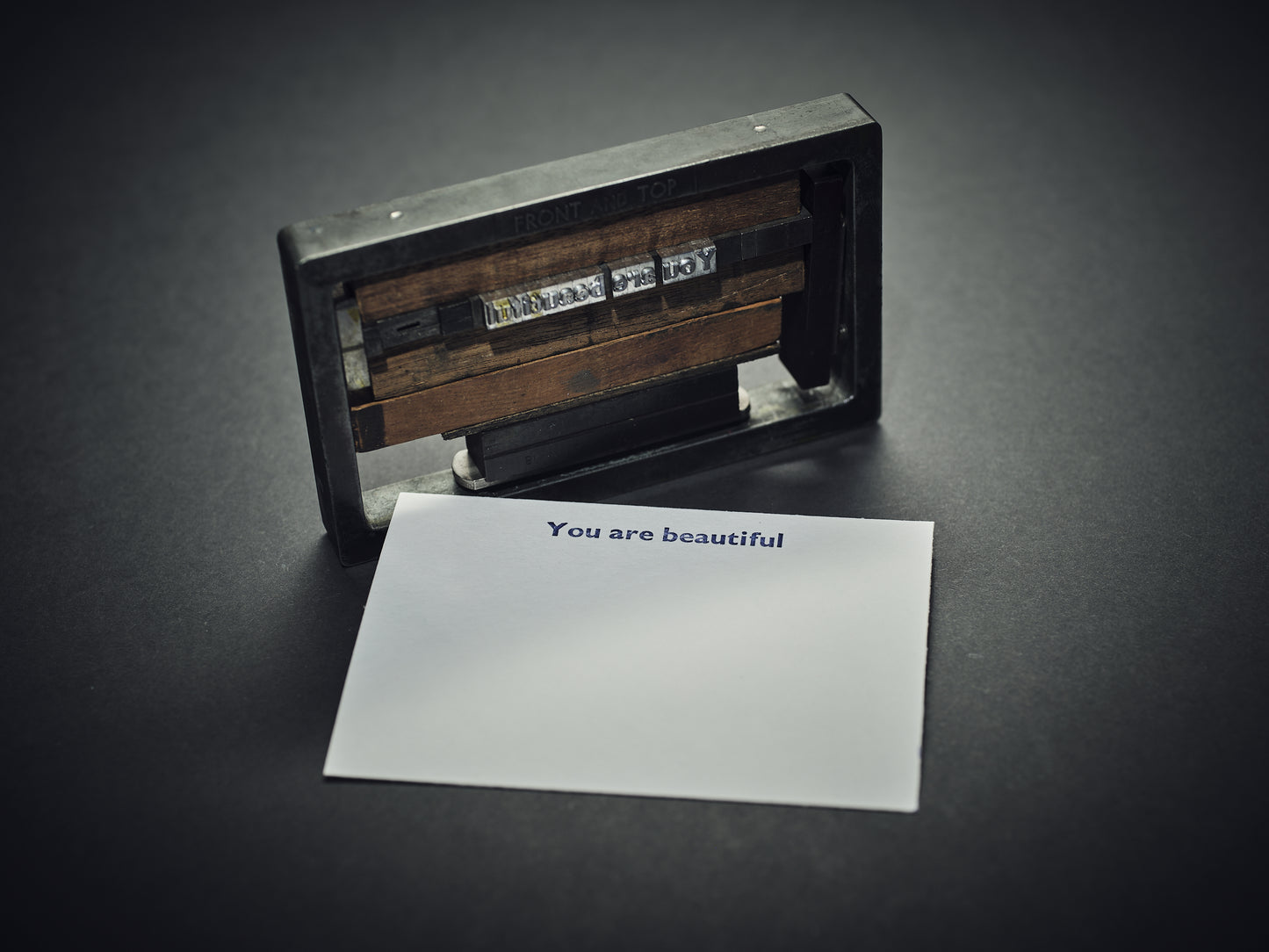 Acorn & Mire - stationery and art print bundle