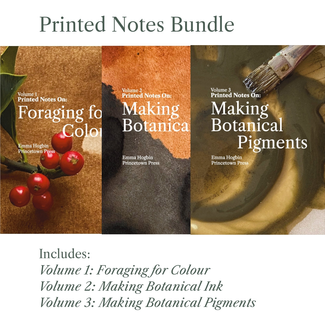How to Make Botanical Ink — Printed Notes Vol. 2 – Princetown Press