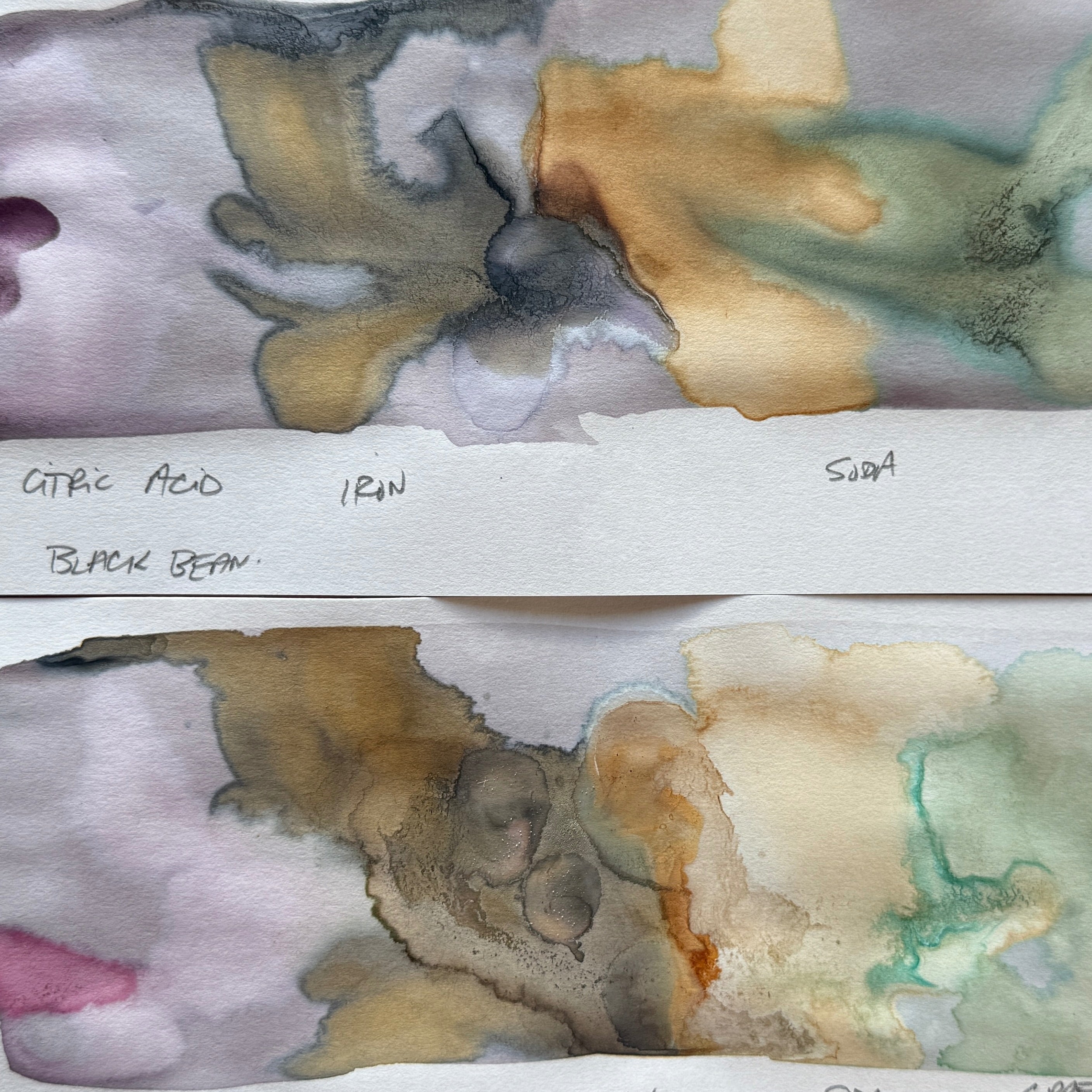 From Garden to Ink: Making Botanical Colour from Duchy of Cornwall Nur ...