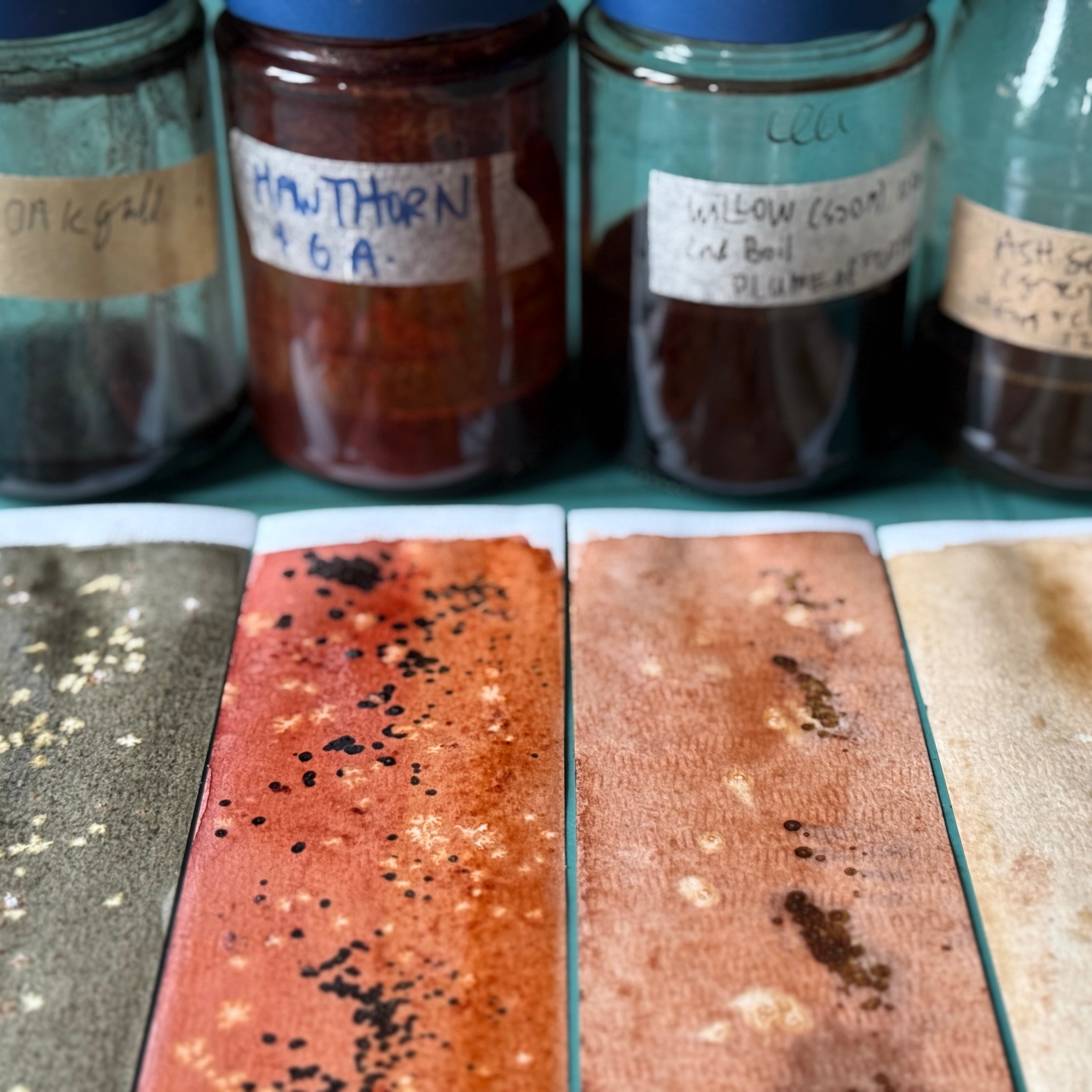 From Galls to Nettles: An Online Natural Ink Learning Series ...